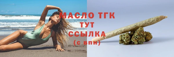 твердый Протвино