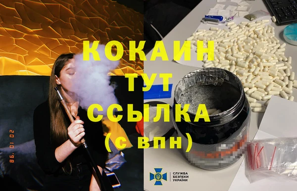тгк Армянск