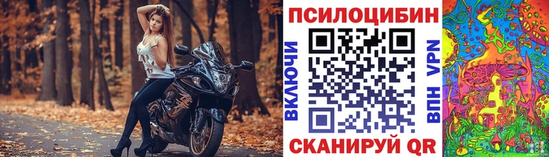 ссылка на мегу ссылка  купить   Отрадный  Псилоцибиновые грибы Psilocybe 